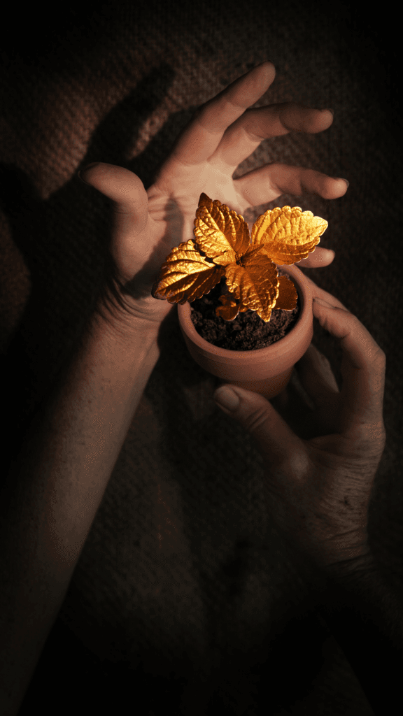 wealth management Pune